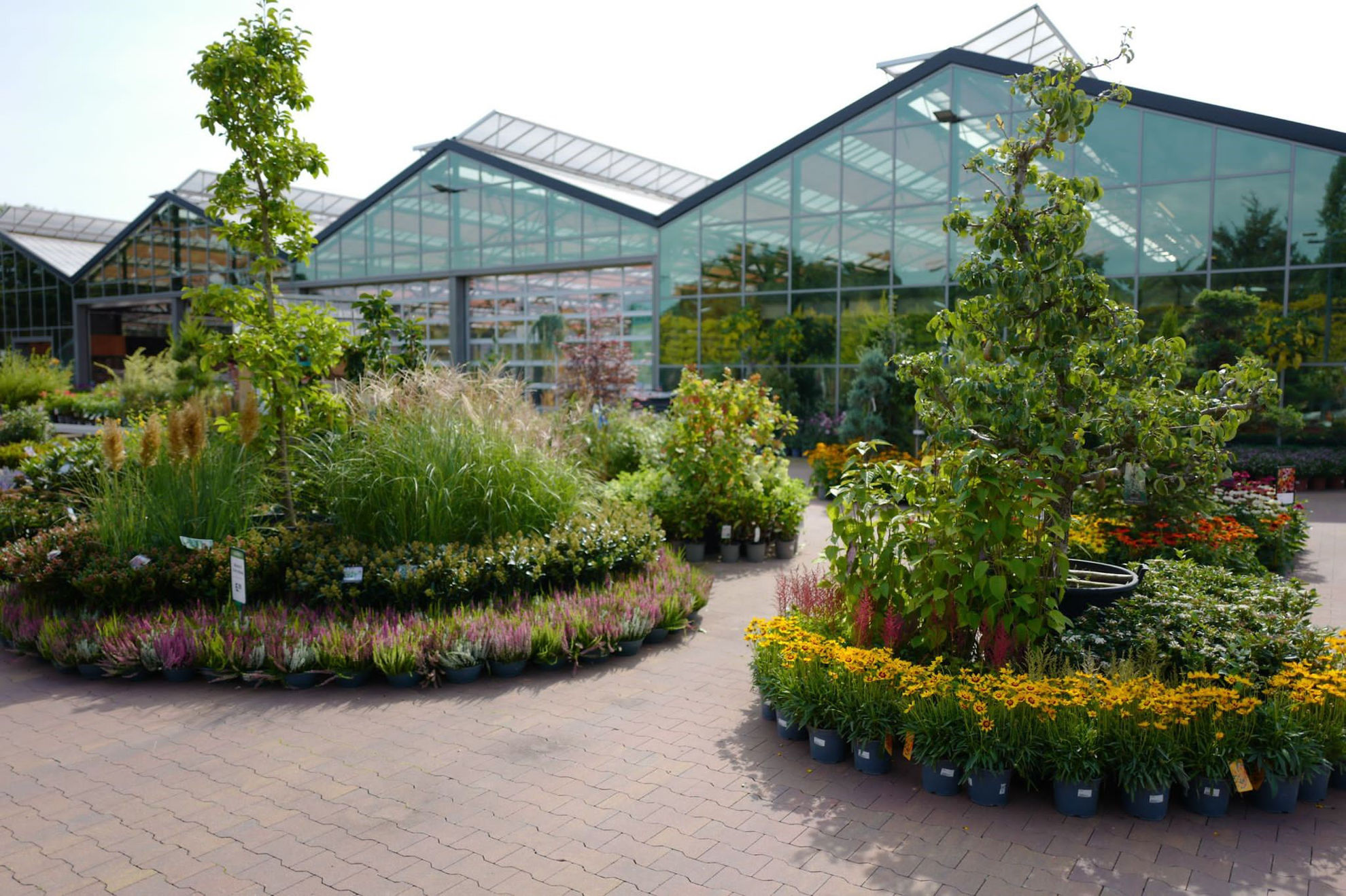 Picture for category One